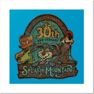 TEXTURE - SPLASH MOUNTAIN 30TH Posters and Art